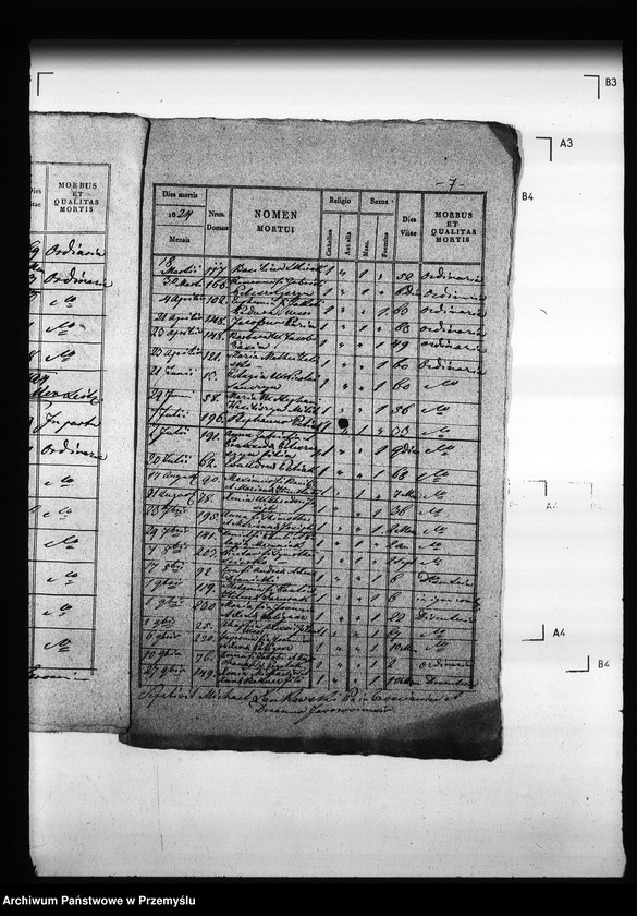 Obraz 11 z jednostki "[Kopie ksiąg metrykalnych parafii Trościaniec (dekanat Niemirów)]"