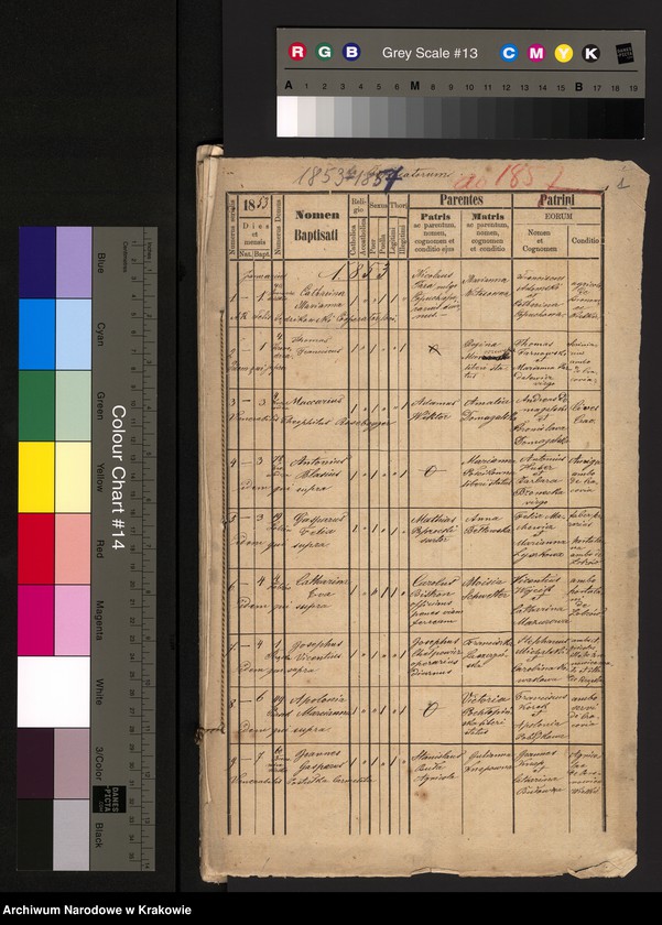 Obraz 4 z jednostki "[Akta urodzeń]"