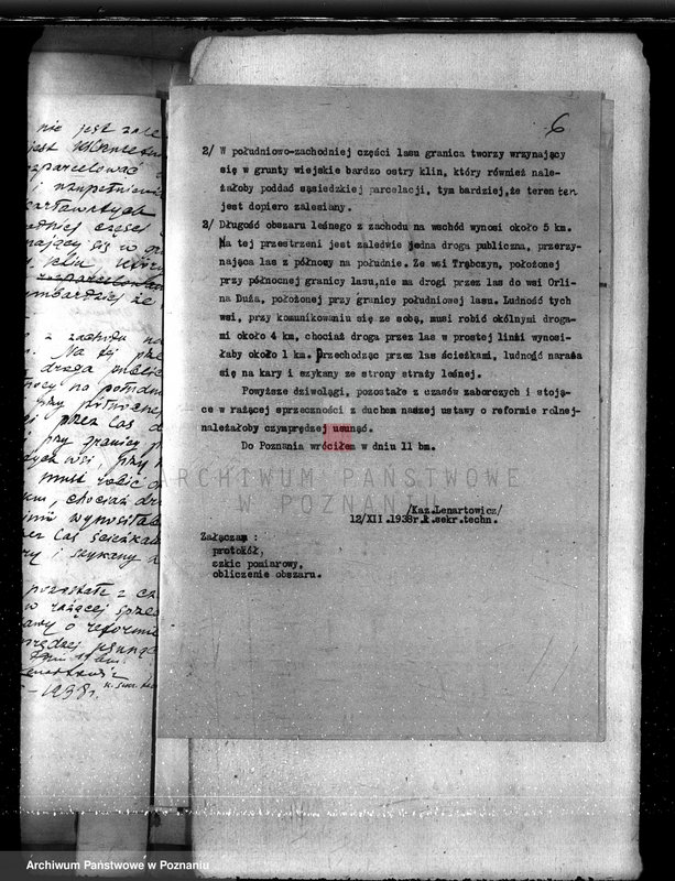 Obraz 10 z jednostki "Majętność Biskupiec powiat koniński /sprawa ustalenia granicy lasu/"