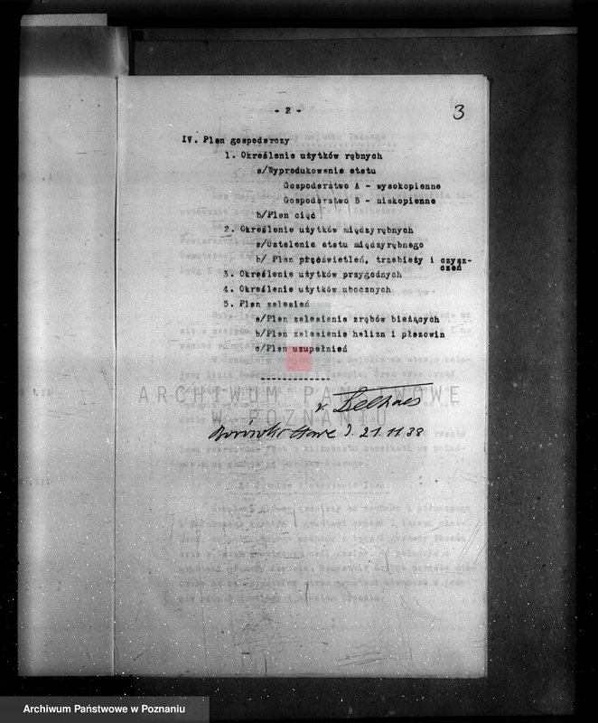 Obraz 7 z jednostki "Plan urządzania gospodarstwa leśnego majętności Borówkowo-Stare powiat. kościański"