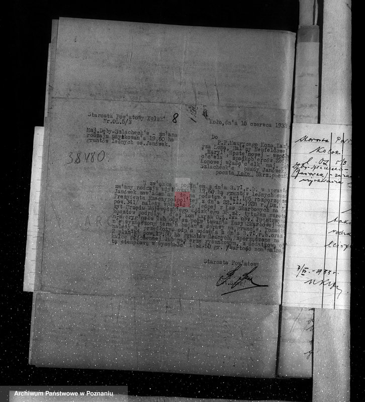 Obraz 12 z jednostki "Sprawy zmiany rodzaju użytków 18,66 ha gruntów leśnych w majątku Dęby-Szlacheckie powiatu kolskiego"