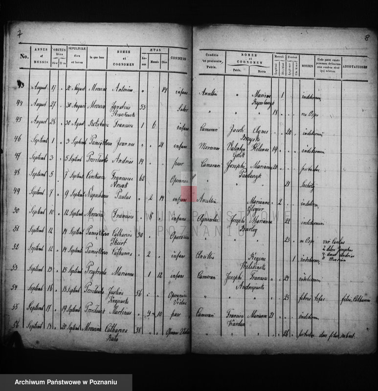 Obraz 6 z jednostki "Liber mortuorum"