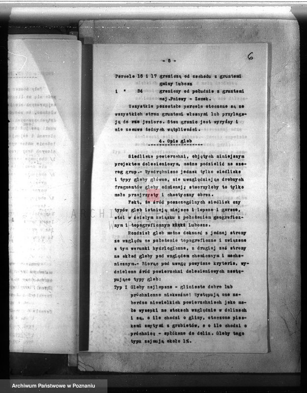 Obraz 8 z jednostki "Dodatkowy plan urządzania lasu dla lasu majątku Lubosz powiatu międzychodzkiego"