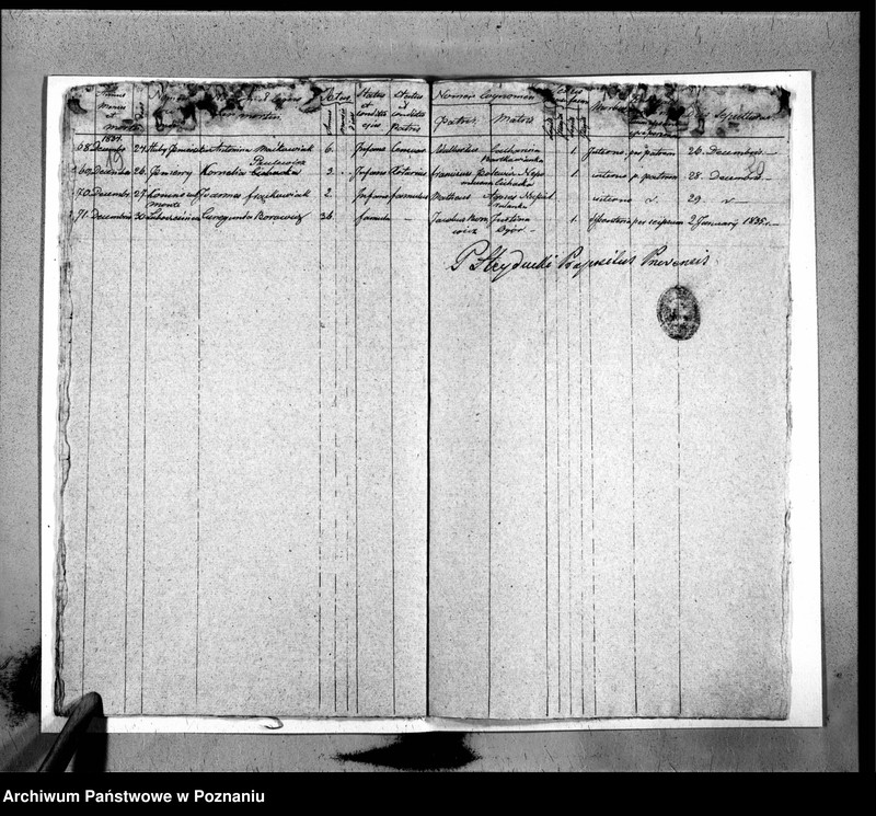Obraz 13 z jednostki "Duplicat baptisatorum, copulatorum, mortuorum"