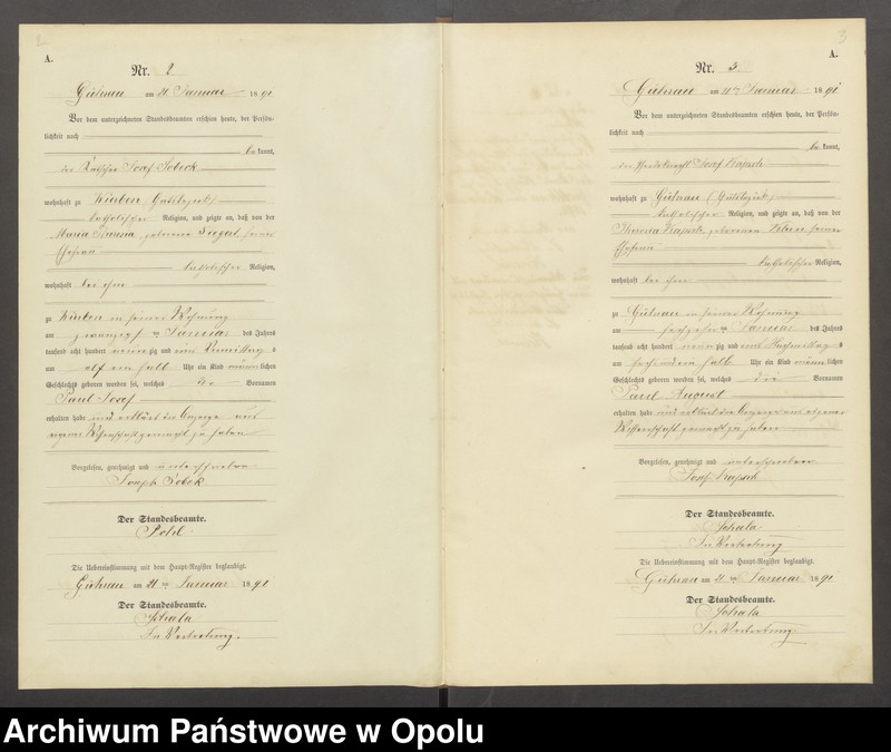 Obraz z jednostki "Geburts-Neben-Register Standesamts Striegendorf pro 1891"