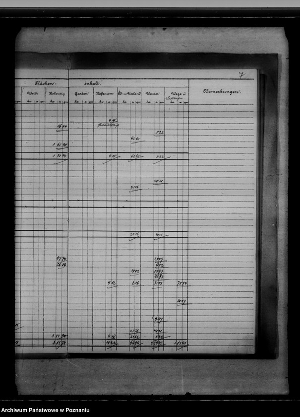 Obraz 11 z jednostki "Vermessungsregister von der Königlichen Domäne Kunowo"