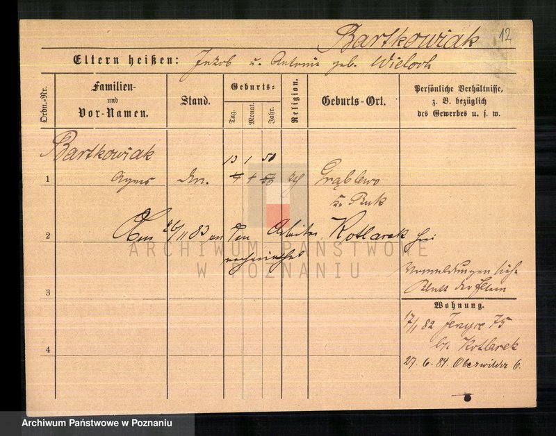 Obraz 14 z jednostki "Bartkowiak (samotne kobiety) - Bartnicz"