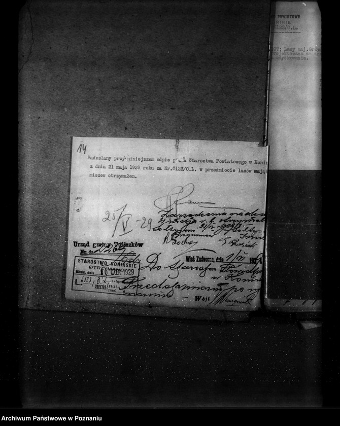 Obraz 18 z jednostki "Zmiana rodzaju użytkowania w związku z parcelacją 84 ha gruntów leśnych w majątku Grzymiszew powiat turecki"