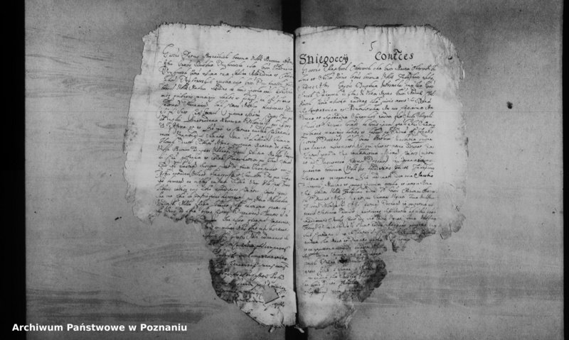 Obraz 8 z jednostki "Decreta officii [inducta]"