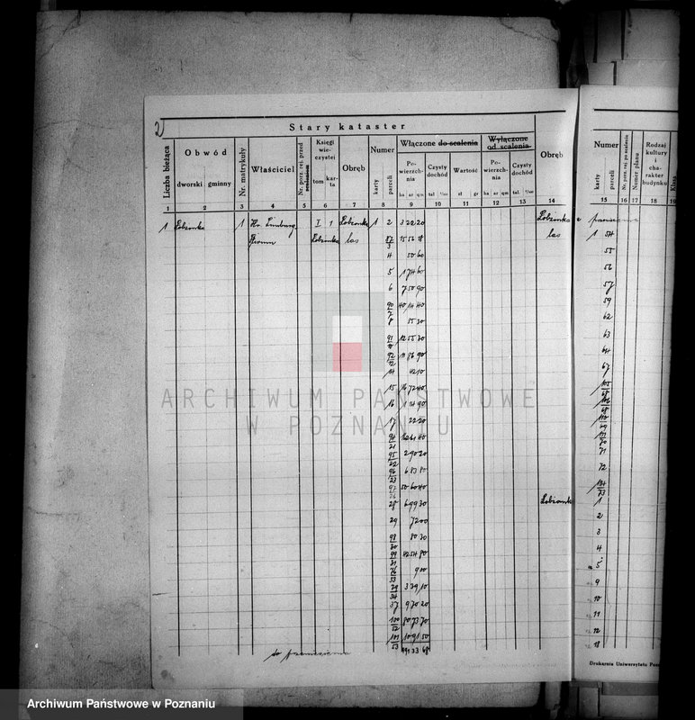 Obraz 6 z jednostki "Ogólne zestawienie powierzchni majątku Łobżenice powiatu wyrzyskiego"