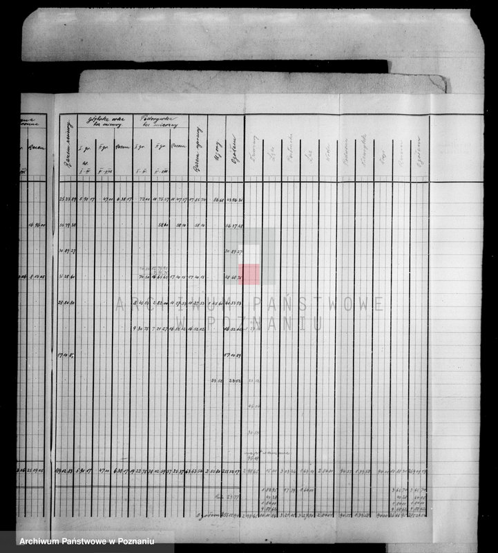 Obraz 16 z jednostki "Rejestr pomiarowy zasiewów części majątku Falmierowo powiatu wyrzyskiego"