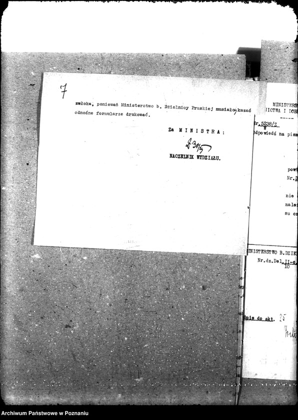 Obraz 11 z jednostki "Weterynaria"