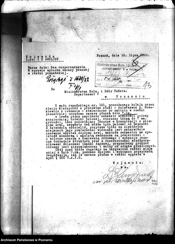 Obraz 17 z jednostki "Zaraza płucna - Międzychód"