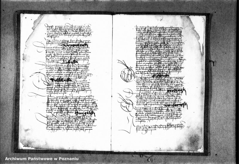 Obraz 7 z jednostki "Inscriptiones, relationes, decreta [protocollon]"