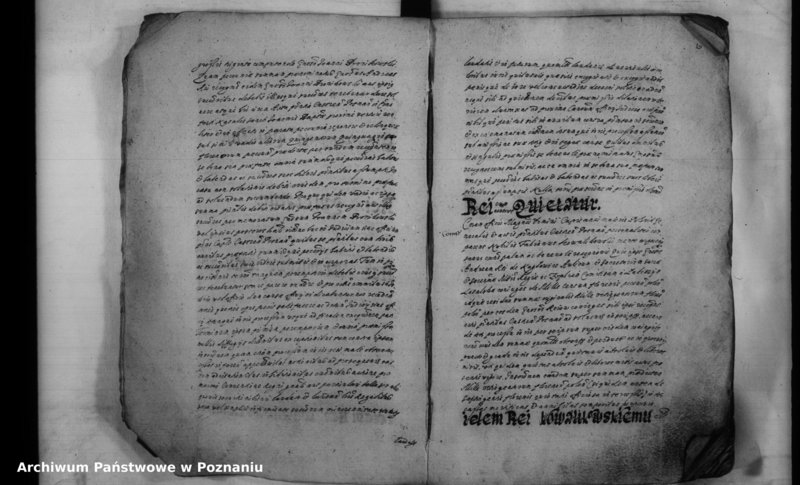 Obraz 14 z jednostki "Inscriptiones [inducta]"