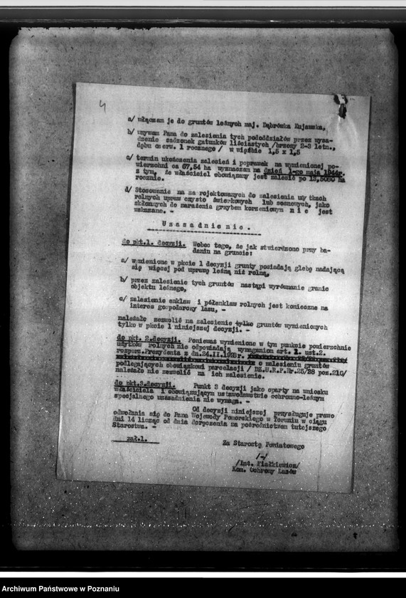 Obraz 8 z jednostki "/Las majątku Dąbrówka-Kujawska/"