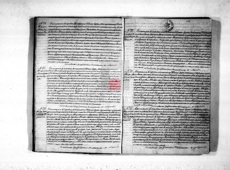 image.from.unit.number "Kniga duplikat o rodivšichsja, brakosočetavšichsja i smerti Sveto-Jezerskago prichoda s 1874 goda"