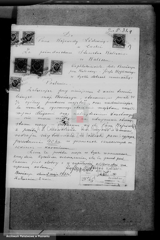 Obraz 5 z jednostki "Zmiana rodzaju użytkowania 40 ha gruntów leśnych w majątku Brańczyn w powiecie kaliskim"