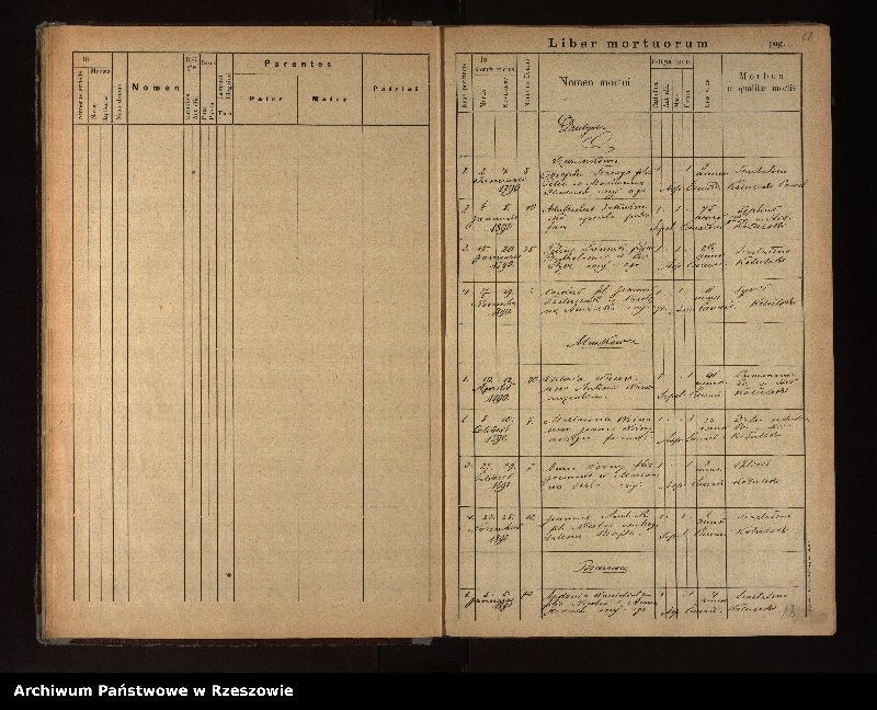 Obraz 20 z jednostki "Księga urodzeń, małżeństw i zgonów dla miejscowości Dudyńce, Jędruszkowce, Markowce, Pisarowce, Pobiedno"