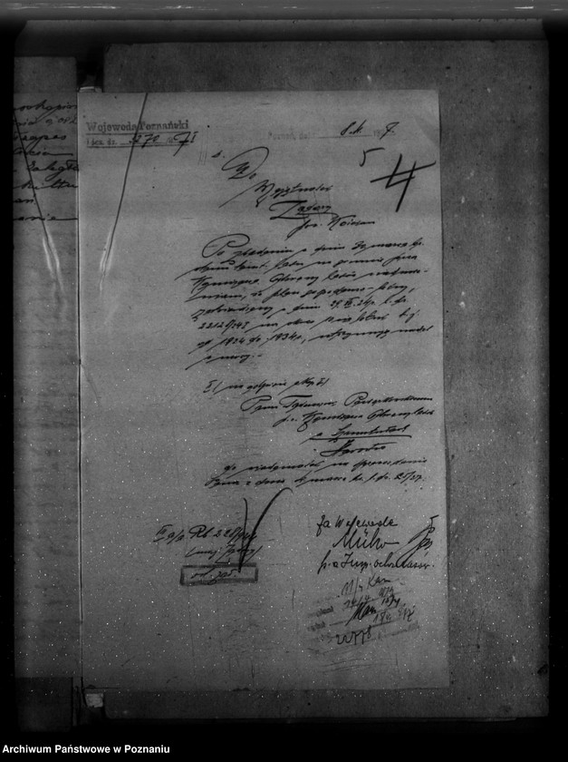 Obraz 9 z jednostki "Majętność leśna Zadory powiat kościański"