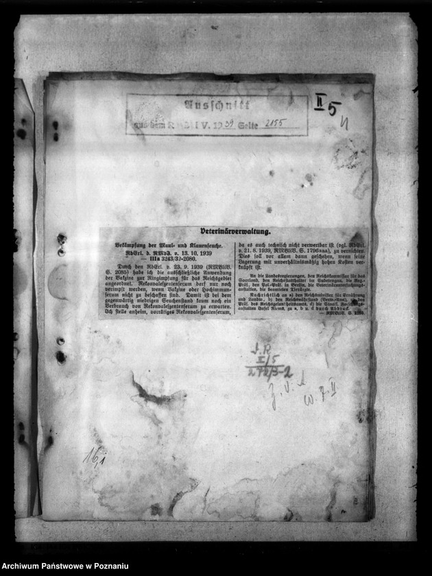 Obraz 8 z jednostki "Maul - und Klauenseuche"