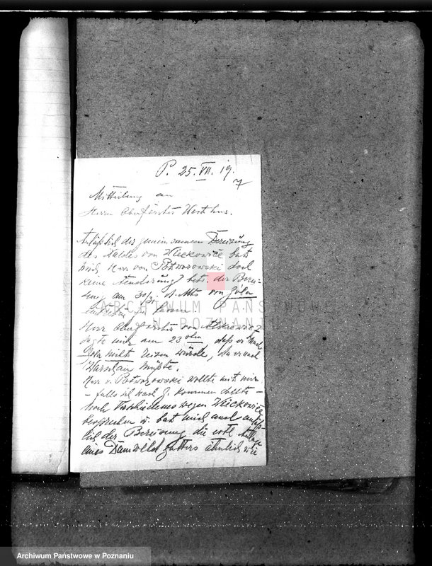 Obraz 10 z jednostki "Majętność leśna Gola w powiecie gostyńskim"