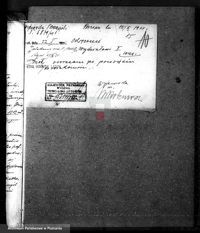 Obraz 19 z jednostki "Majętność leśna w Mielnie w powiecie gnieźnieńskim"