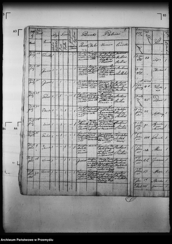 Obraz 13 z jednostki "[Kopie ksiąg metrykalnych parafii Nowa Wieś z filią Łosie (dekanat Muszyna)]"