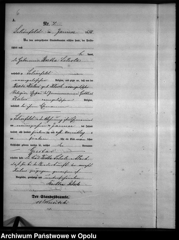 Obraz 7 z jednostki "Geburts-Haupt-Register Standesamts Schönfeld pro 1878"