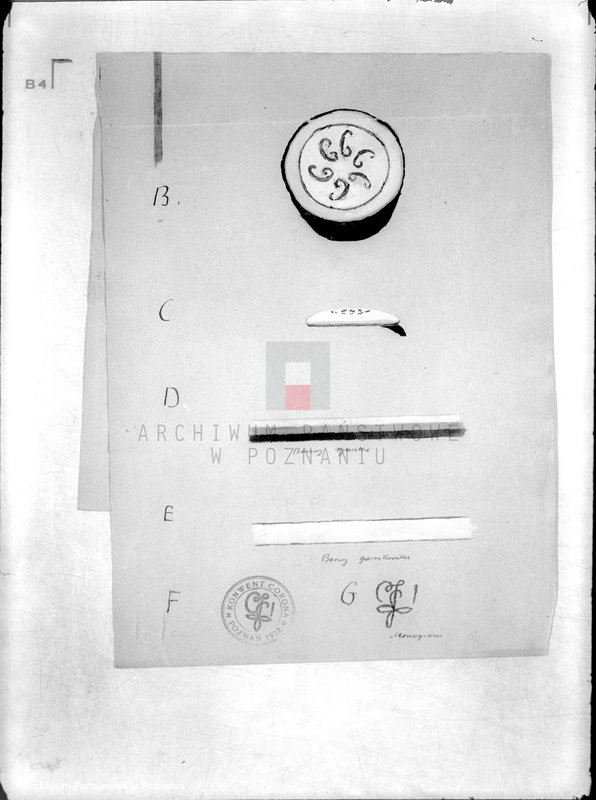 Obraz 14 z jednostki "/Katolickie Towarzystwo Przemysłowców Poznań-Główna/"