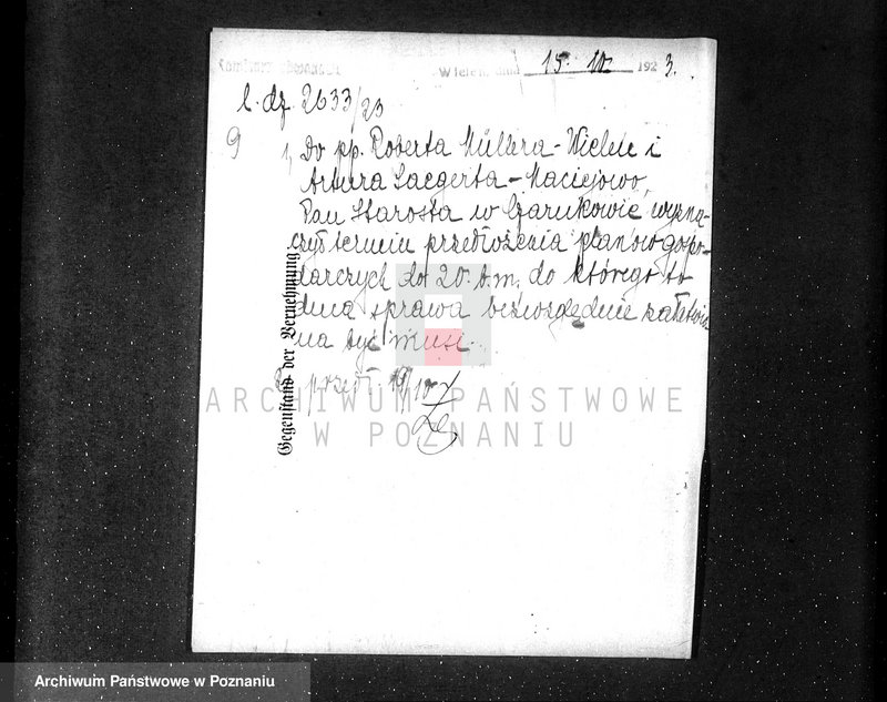 Obraz 13 z jednostki "/Nadzór nad lasami majętności Maciejewo w powiecie czarnkowskim/"