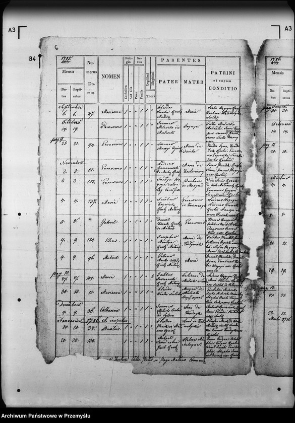 Obraz 11 z jednostki "[Kopie ksiąg metrykalnych parafii Małnów (dekanat Mościska)]"