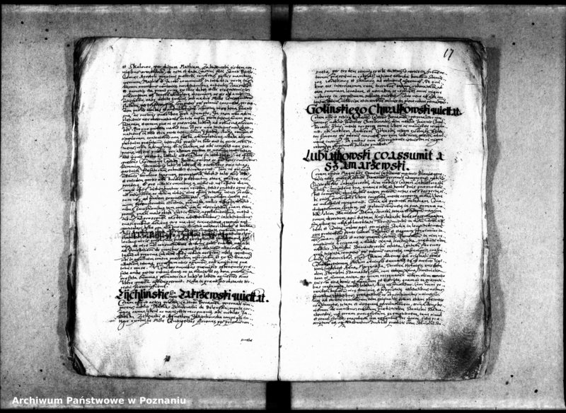 Obraz 20 z jednostki "Inscriptiones [inducta]"