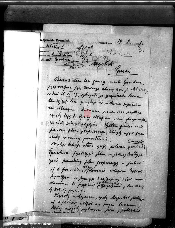 Obraz 7 z jednostki "Magistrat miasta Czarnkowa /nadzór nad gospodarką leśną/"