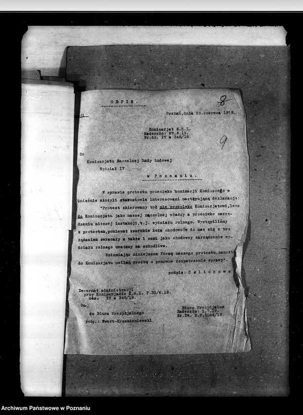 Obraz 13 z jednostki "Sprawy ogólne stadnin"