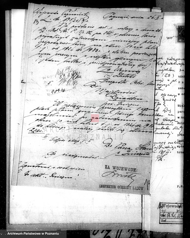 Obraz 17 z jednostki "Nadzór nad gospodarką w lasach majątku Dziadkowo powiecie gnieźnieńskim"