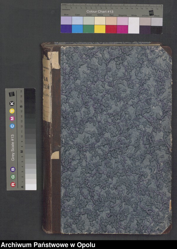 Obraz 3 z jednostki "[Księga urodzeń za rok 1875 Opole nr 1-480]"