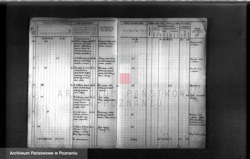 image.from.unit.number "Plan urządzenia gospodarstwa leśnego Baborówko-Baborowo powiat szamotulsko-obornicki 1929-1939"