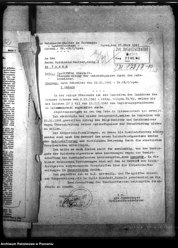 Obraz 17 z jednostki "Zarządzanie i gospodarowanie lasami gminnymi"