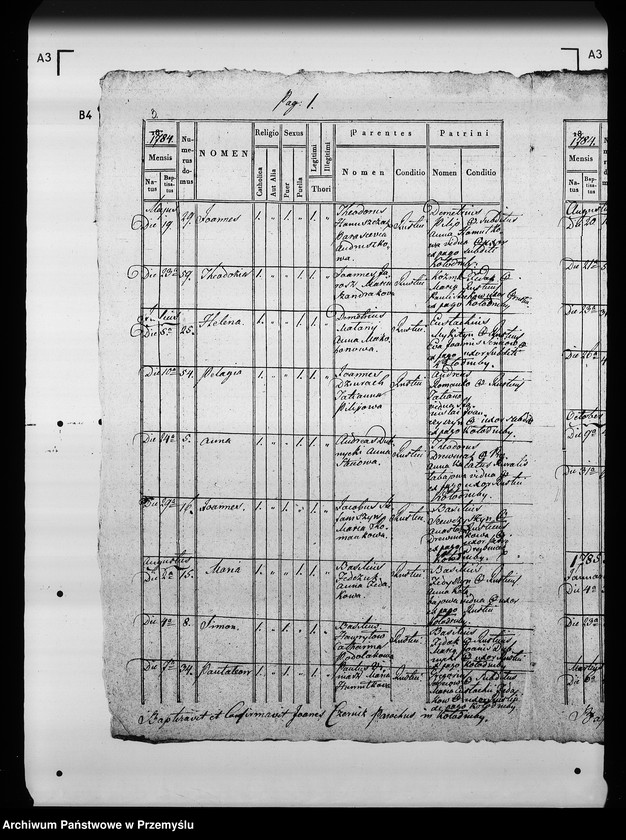Obraz 6 z jednostki "[Kopie ksiąg metrykalnych parafii Kołodruby (dekanat Komarno)]"