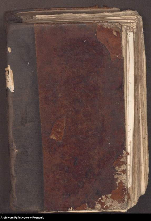 Obraz 3 z jednostki "Prothocollum nobilis officii consularis civitatis SR.Mtis Posnaniae sub notariatu nobilis Francisci Xaveri Prolewicz, SR.Mtis consiliarii, apostolici et officii praesentis notarii in anno domini 1768."