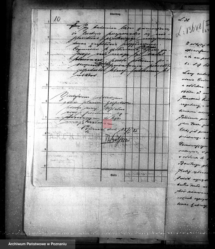 Obraz 14 z jednostki "Majętność leśna w Mielnie w powiecie gnieźnieńskim"