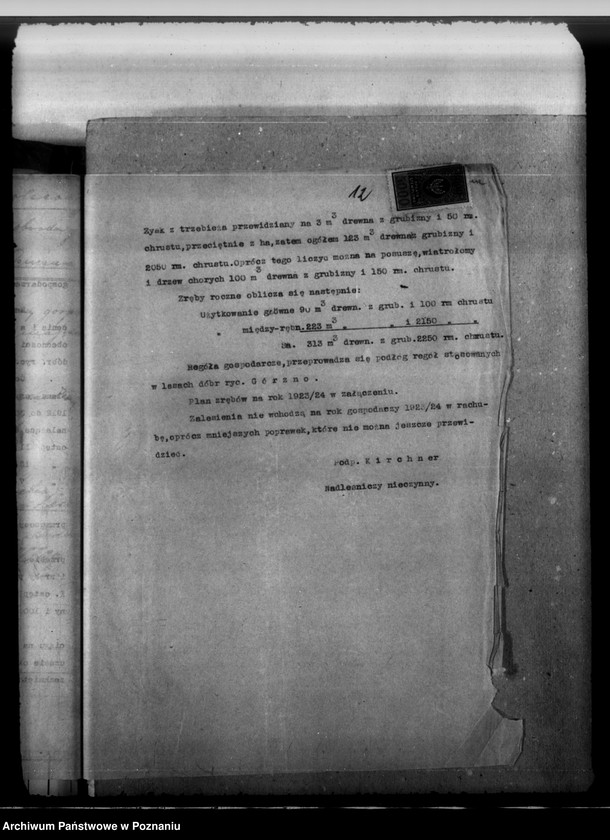 Obraz 16 z jednostki "Majętność leśna Górzno-Bojanice powiat leszczyński"