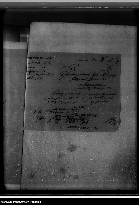 Obraz 11 z jednostki "Majętność /leśna/ Gorzycziki powiat kościański"