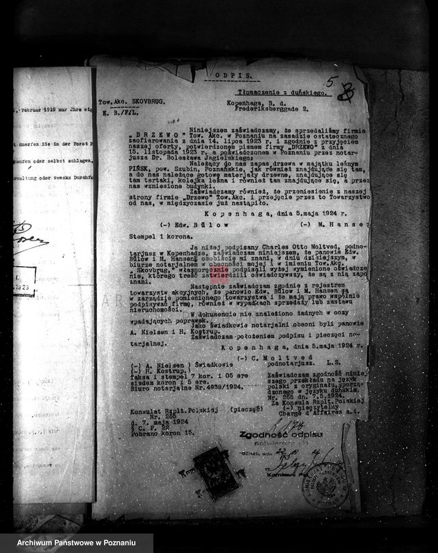 Obraz 9 z jednostki "Majętność leśna Pińsko powiat szubiński"