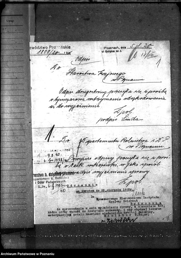 Obraz 5 z jednostki "Sprawy ogólne wąglik, szelestnica i zaraza dziczyzny"