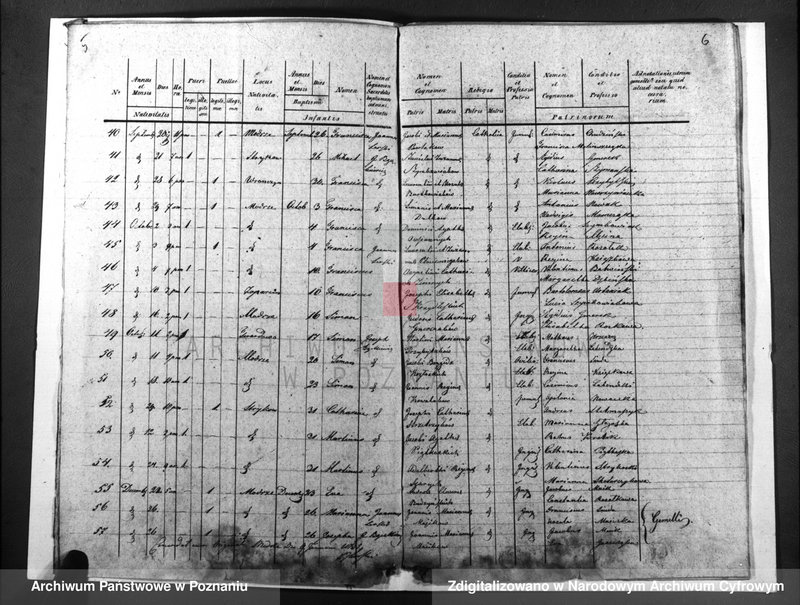 image.from.unit.number "Duplicatus baptisatorum, copulatorum, mortuorum"