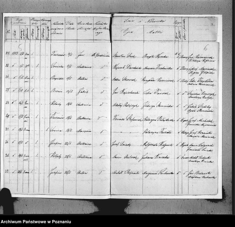 image.from.unit.number "Duplikat urodzeń, małżeństw i zgonu"