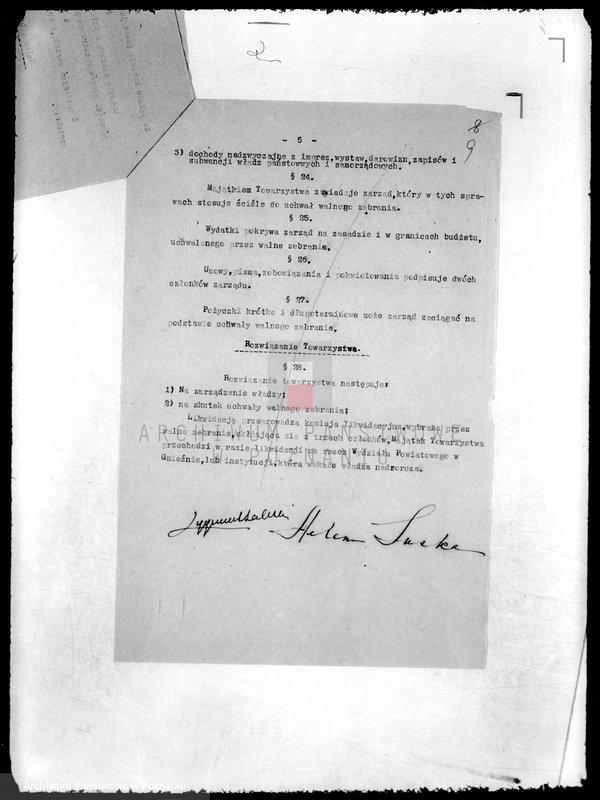 Obraz 13 z jednostki "/Towarzystwo Miłośników Ogrodnictwa w Gnieźnie/"