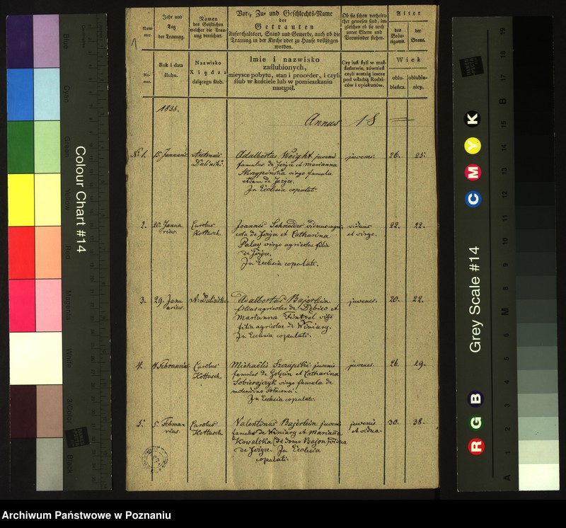 Obraz 3 z jednostki "Księga małżeństw"